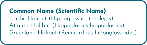 Common Name then Scientific Name listed. Pacific Halibut (Hippoglossus Stenolepis). Atlantic Halibut (Hippoglossus hippoglossus). Greenland Halibut (Reinhardtius hippoglossoides).