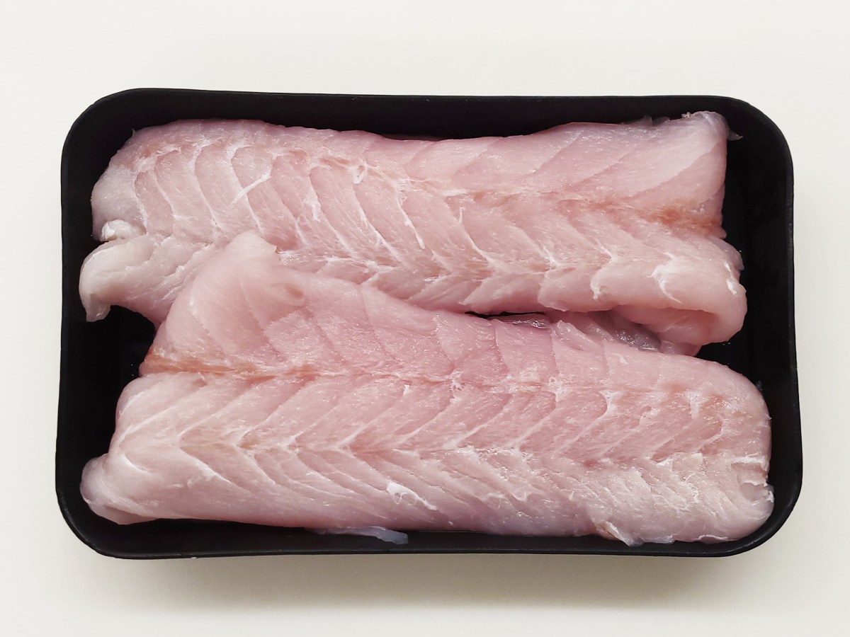 Corvina 101: A South American&nbsp;Trademark